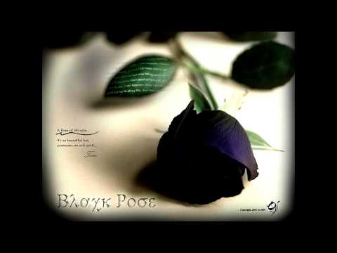 cornandbeans - Rose
