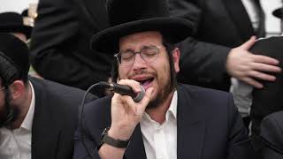 מקהלת מלכות & פנחס ביכלר,מנדי וייס,בנצי שטיין,הערשי סגל,שמוליק לוטרמן - מחרוזת קומזיץ