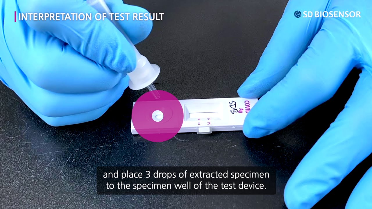[English subtitle] Guide for STANDARD Q COVID-19 Ag Test (professional ...