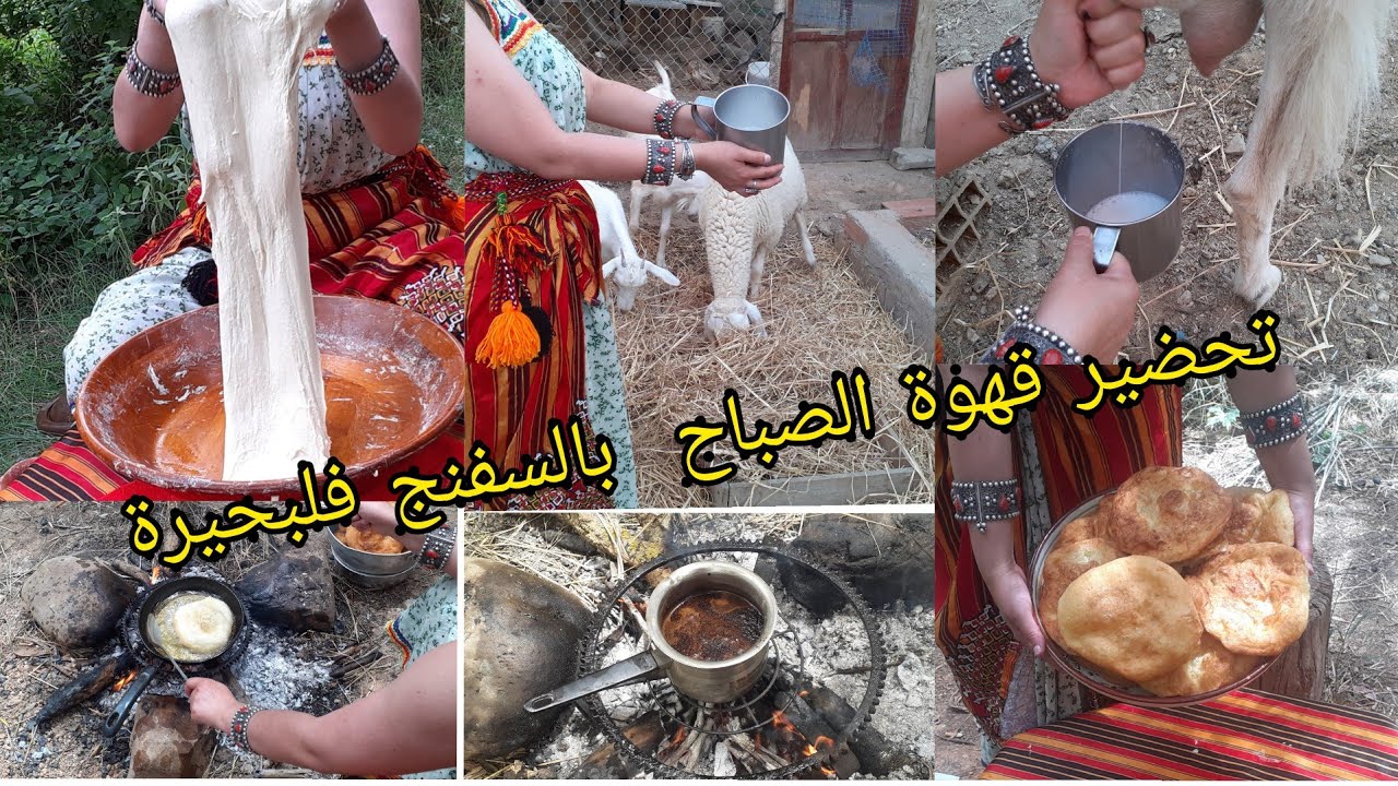 روتين صباحي ممتع مع لقبايلية الفحلة💪حلبت لمعيز🐐🐐 عجنت سفنج الله الله وطيبتو على لحطب واش نقوللكم🤩