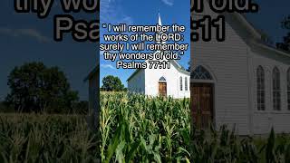 Inspiration #bible #wisdom #faith #peace #shorts