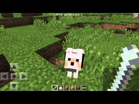 COME ADDOMESTICARE UN LUPO! - Minecraft Pocket Edition