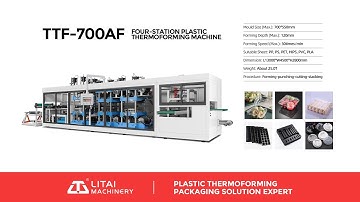 Automatic Disposable Plastic Vacuum Forming Thermoforming Machine For Egg Tray Fruit Container Lid