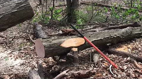 Don Webber Forest Recovery.  Logging with Harbor Freight 12000 Badlands Winch