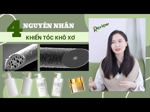 4 NGUYÊN NHÂN TÓC KHÔ XƠ | REVIEW CÁC SẢN PHẨM CHĂM SÓC TÓC HOT TẠI NHẬT TRANG ĐANG DÙNG | BoonTrang