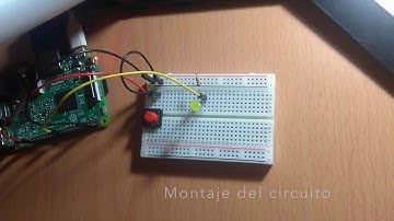 Interruptor y pulsador en la raspberry pi