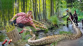 Download Lagu 😱Shocking! Giant Python Lurks to Attack Girl in the Forest - Harvesting Bamboo Shoots for Sale! MP3 Download Lagu 😱Shocking! Giant Python Lurks to Attack Girl in the Forest - Harvesting Bamboo Shoots for Sale! MP3