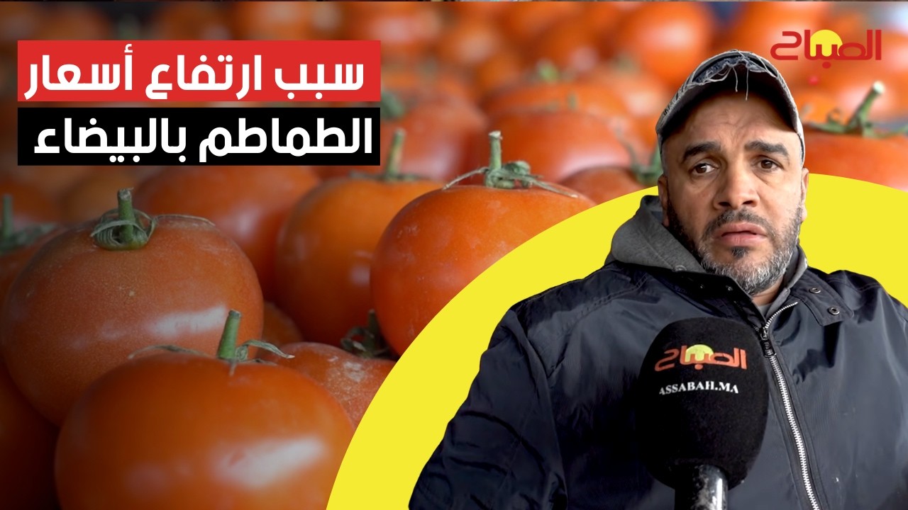 باعة بالجملة يوضحون سبب ارتفاع أسعار الطماطم بالبيضاء