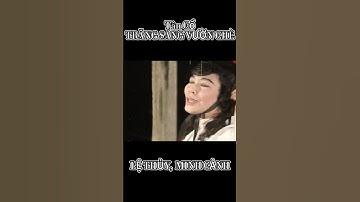 TRĂNG SÁNG VƯỜN CHÈ (Tân Cổ) -  LỆ THỦY, MINH CẢNH