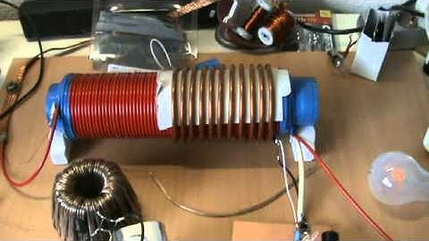 Dally replication final 1