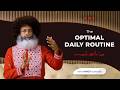 How to Start and End your Day? | Mahatria on the Optimal Daily Routine