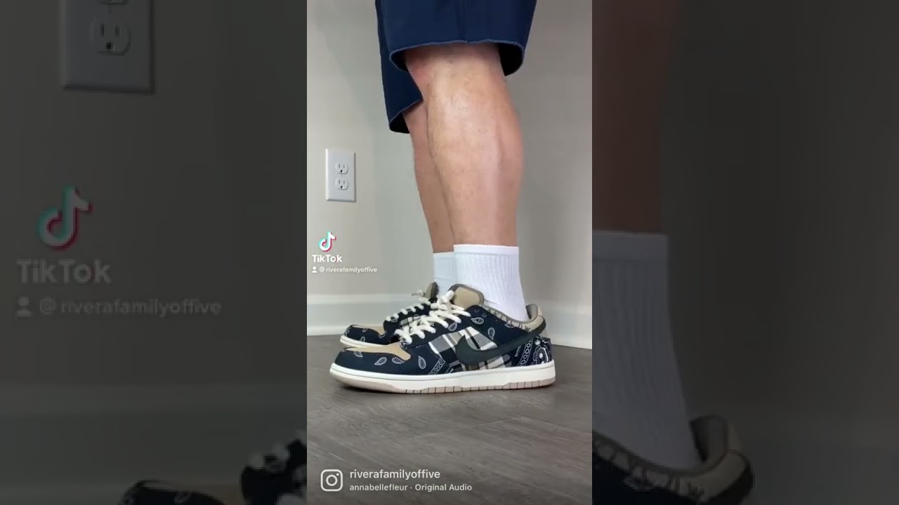 TRAVIS SCOTT NIKE DUNK SB 