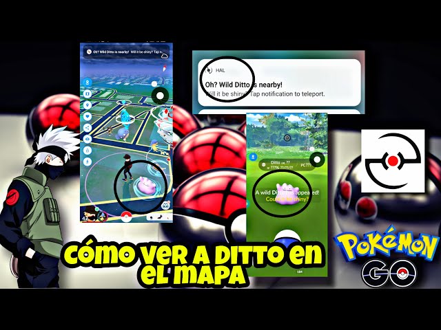 CAPTURANDO A DITTO !! - Pokemon GO en VIVO LOCALIZACION DE DITTO -  COORDENADAS DE DITTO EN VIVO 