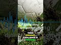 Senegal's World Cup Rank: Direct Attack vs. Finishing Woes #shorts