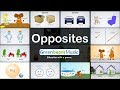 Understanding Opposites