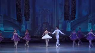 Lazebnikova Natalia-Sleeping Beauty act 3, Спящая красавица-Наталья Лазебникова 3 акт
