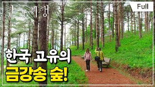 [Full] 한국기행 - 나무에 취하다 제1부 지리산에 나무 보러 갈까요?