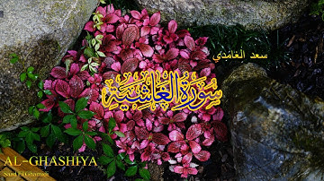 88 - سورة الغاشية - سعد الغامدي - Sourate AL-Al-Ghashiya - Saad El Ghamidi
