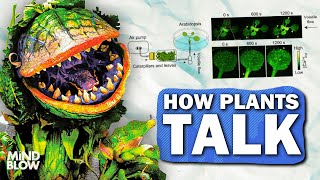 Plants WARN Each Other of Danger? - Mind Blow