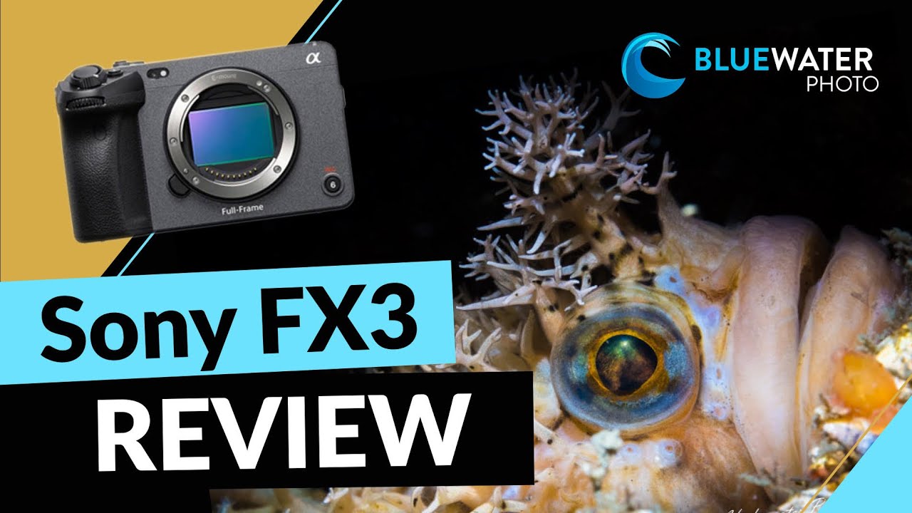 The Sony FX3 Underwater Review & Housings - Underwater Photography Guide