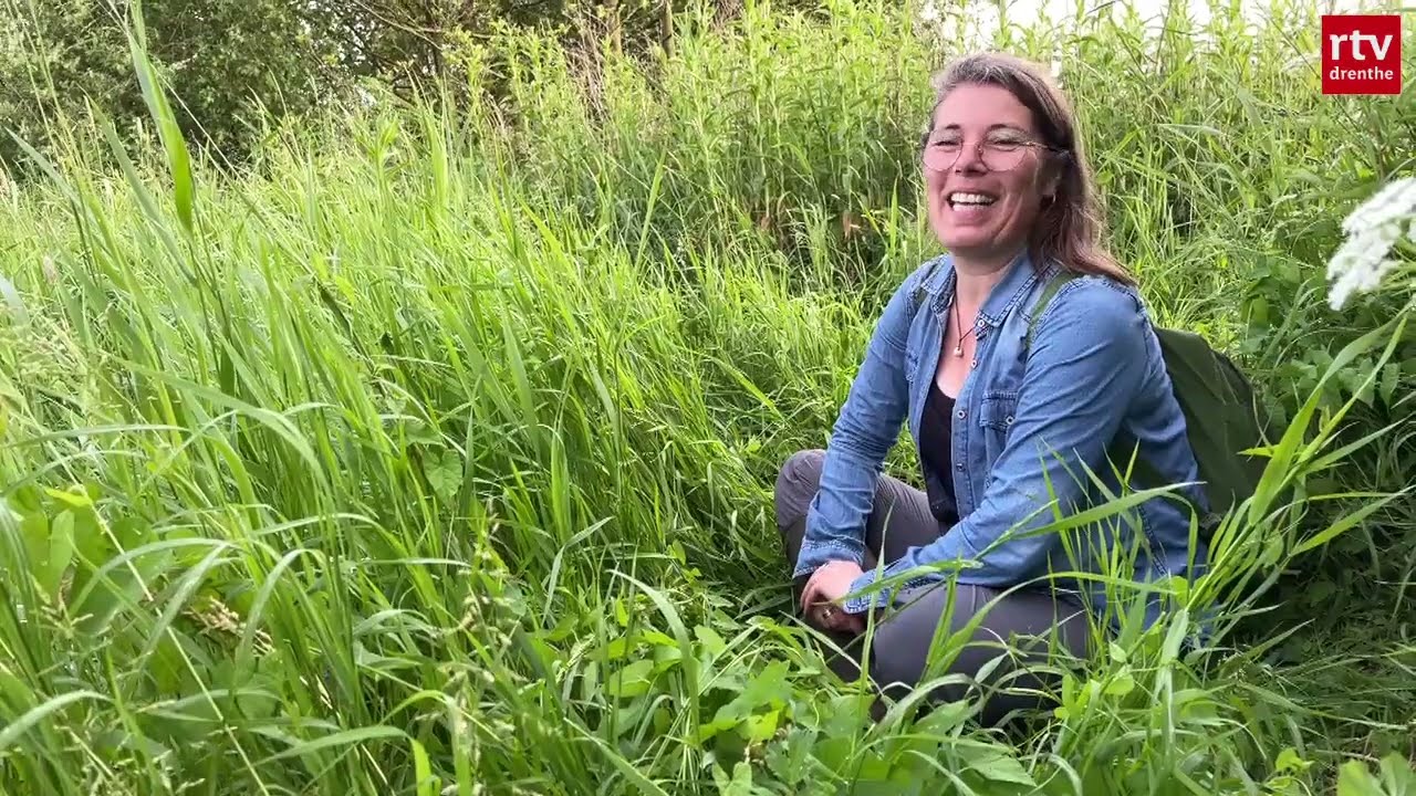 Grootste beverdam van Noord Nederland doorgebroken