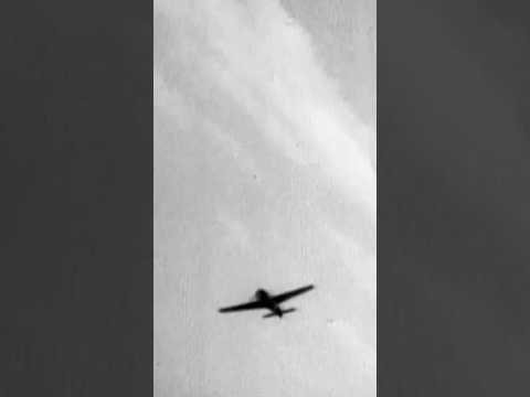 Luftwaffe Fw 190
