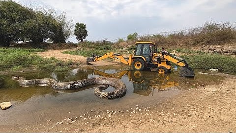 Jcb 3dx Backhoe Machine Mahindra Swaraj New Eicher Sonalika Tractor Over Loading