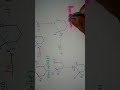 Barton Reaction Mechanism | Barton Nitrite Photolysis | Step-by-Step Mechanism &amp; Applications