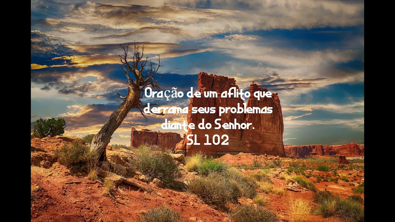 Salmo 102: Oração de um aflito que derrama seus problemas diante do Senhor + Oração do Pai Nosso