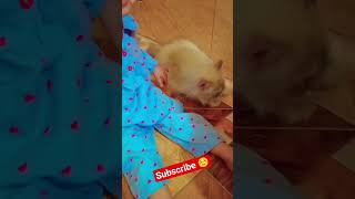 ❤️❤️Good Morning 🥰#shortvideo #trendingshorts #mehwishsaif #dunyapur