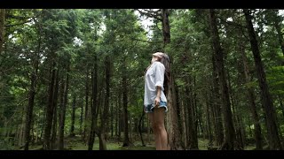 How forest bathing boosts your immunity