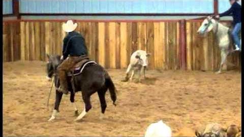 Smart Dual Badger 09