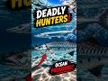 🌊 The Most Dangerous Fish in the Ocean! #trending #viral #explore #shorts