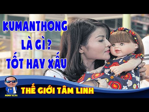 Video Kumanthong là gì, tốt hay xấu ? Cách nuôi Kumanthong ở... - youtube