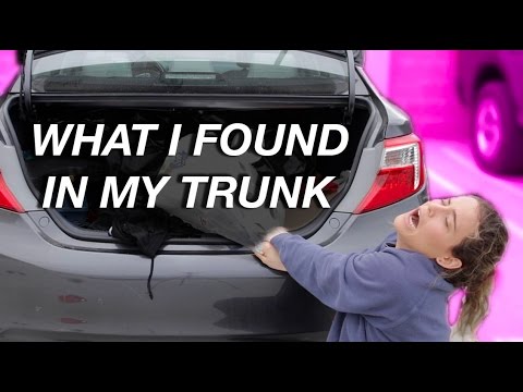 WHAT I FOUND IN MY TRUNK | Skits | AYYDUBS alyx weiss address