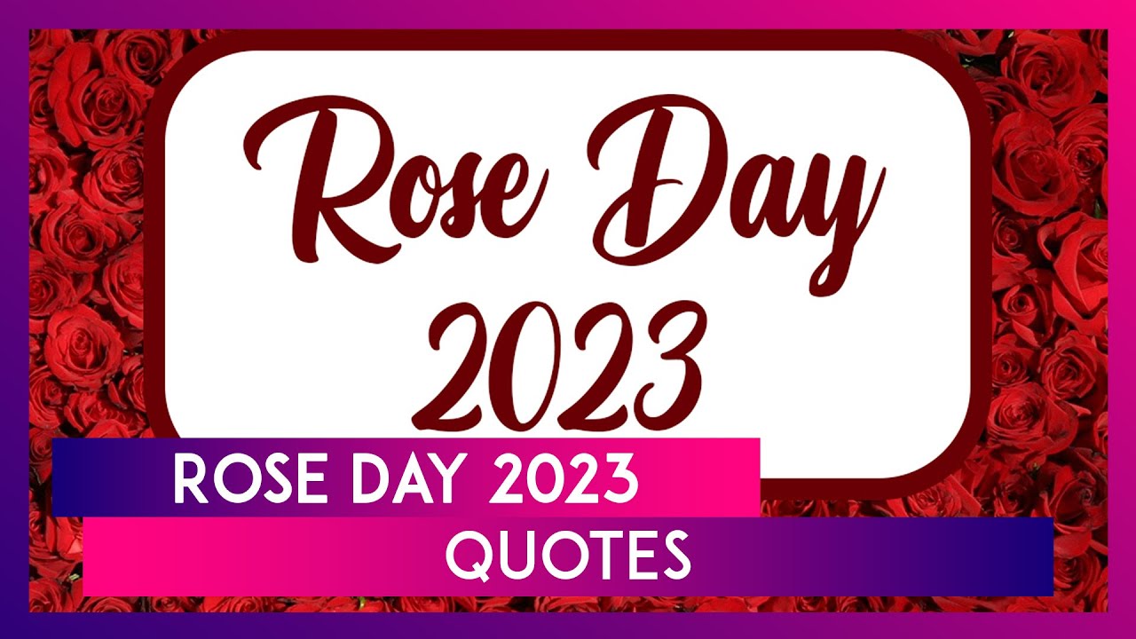 Rose Day 2023 Quotes and Sayings About Love, Beautiful Rose Images, HD Wallpapers and Messages