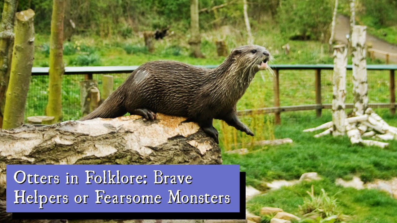 Otters in Folklore: Brave Helpers or Fearsome Monsters