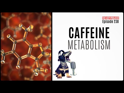 The ATP Project 238 - Caffeine Metabolism