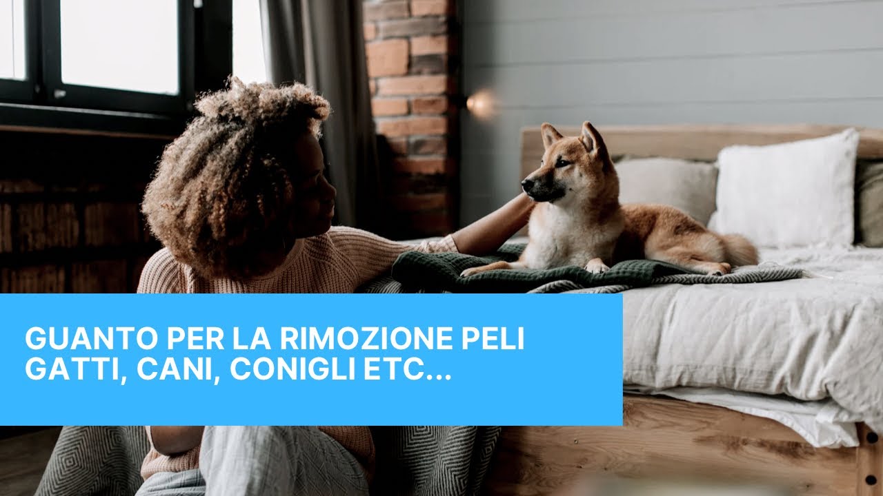 Guanto Da Toeletta Per Animali &ndash; Per Cane E Gatto, Massaggio E Rimozione Pelo, Nuovo