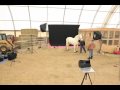 Nels akerlund photography horse time lapse