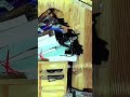 神戸廃寺 #tiktok #えだまめ #心霊 #tiktokライブ #心霊スポット