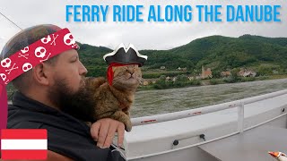 Nala cat's ferry ride along the Danube