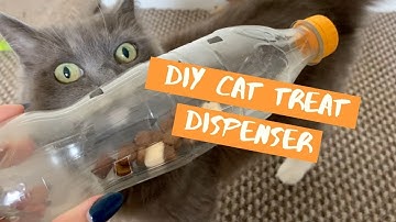Interactive Cat Foraging Puzzle *EASY DIY*