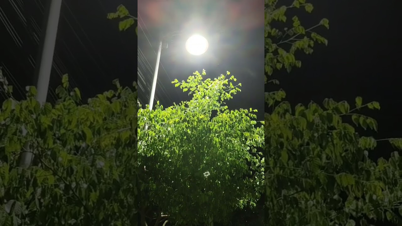 #eveningheadlines #youtubeshorts #beautifulnature#lovesongs #subscribers #publicopinion #freshnature