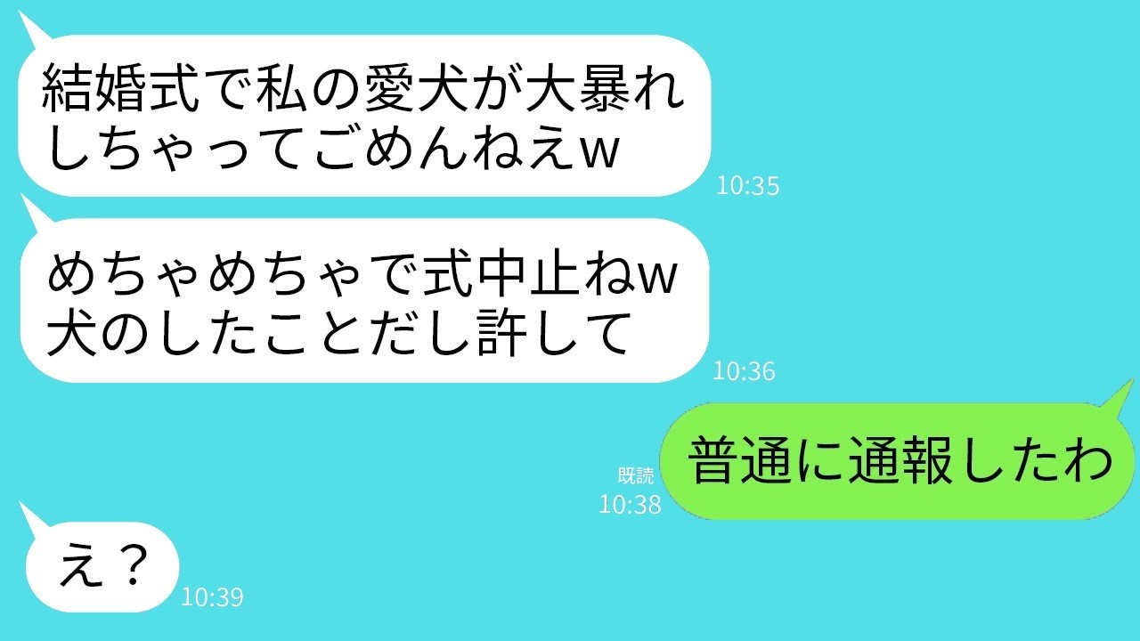 親友が結婚式で愛犬大暴走→「犬のせい」でケーキ破壊！その直後、彼女が全てを失った瞬間