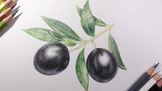 올리브 그리는 방법/ How to draw an olive.