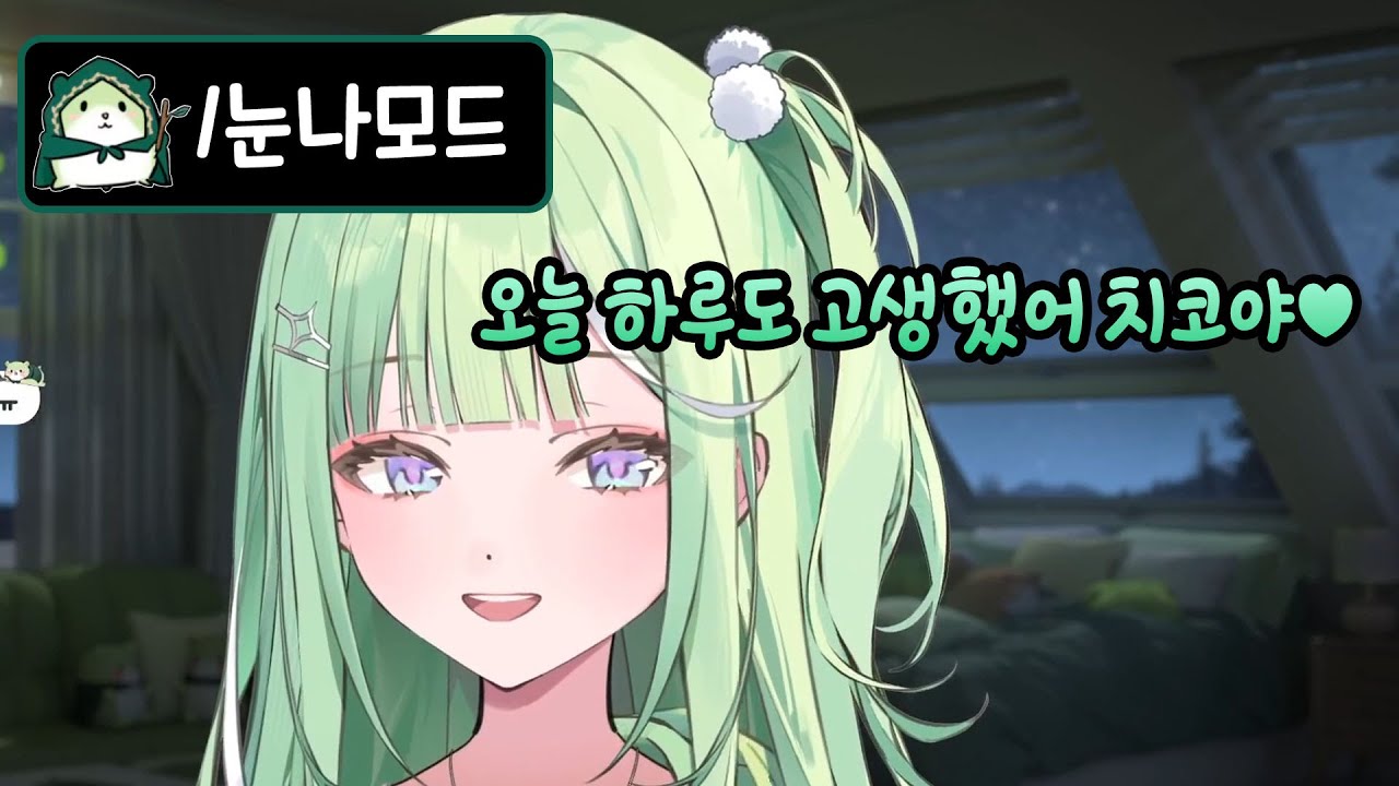 눈나모드로 치코들 치유해주는 리코