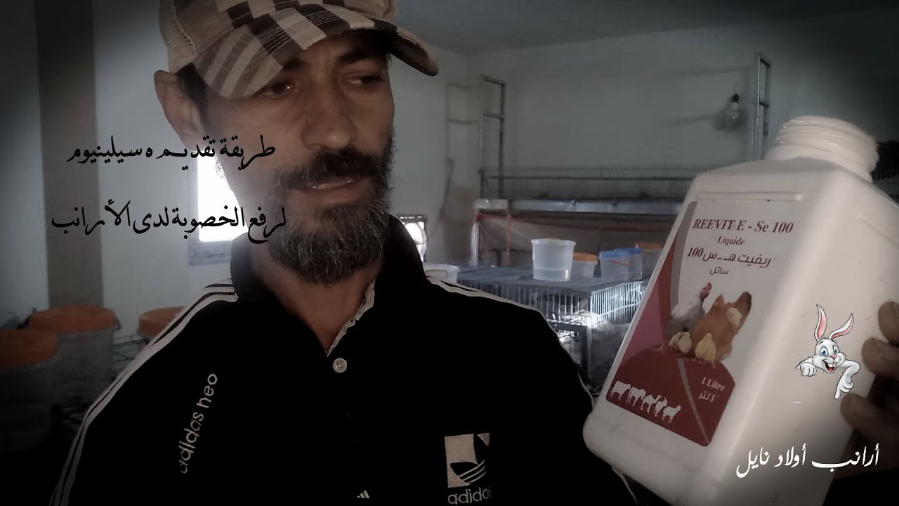 طريقة تقديم ه سيلينيوم لرفع الخصوبة لدى الأرانب