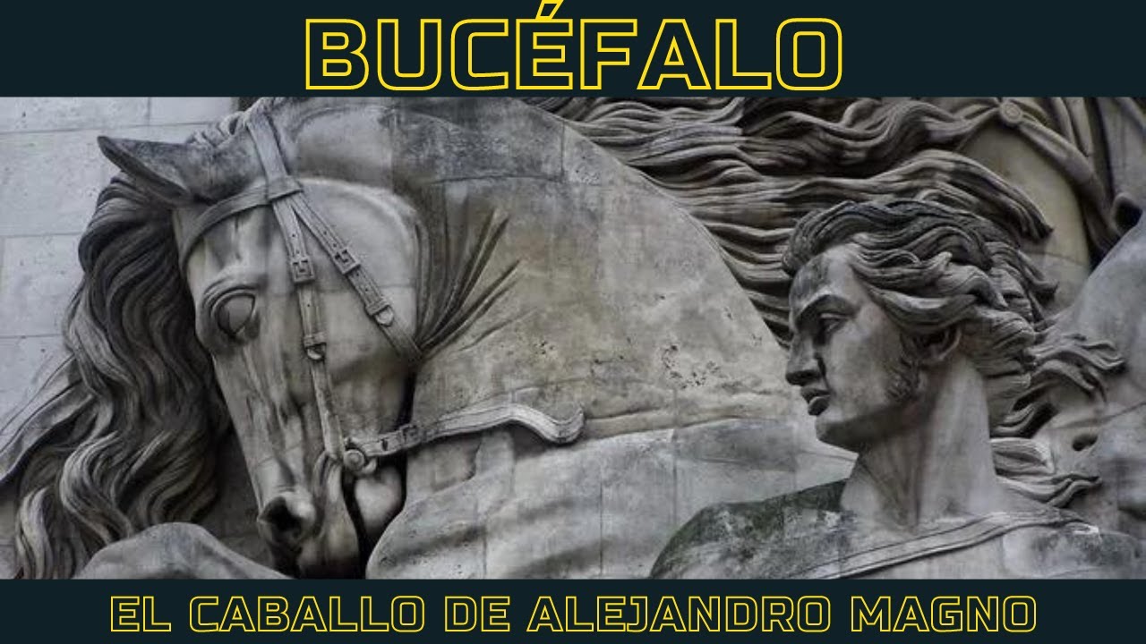 Bucéfalo: El caballo más famoso de la historia