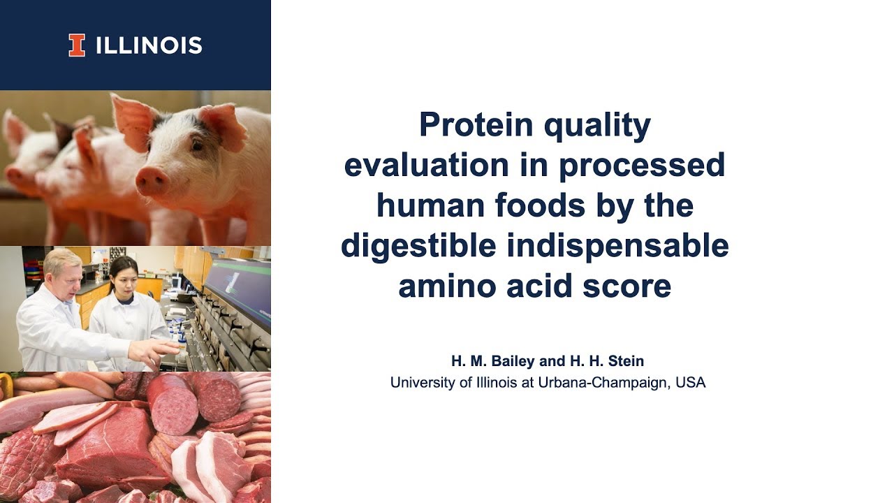 Protein quality evaluation in processed human foods by the digestible